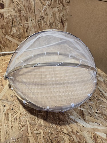 Covered fruit basket food - basket,