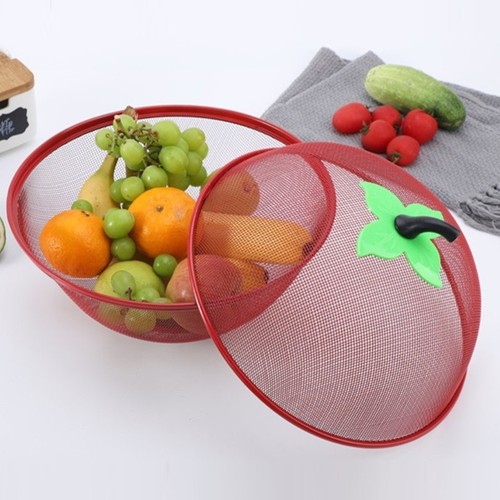 Fruit fly proof - fly,